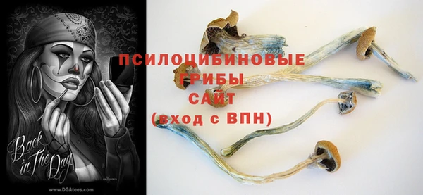 трава Бугульма