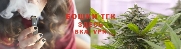крисы Богданович