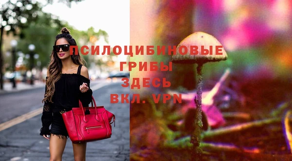 гидропоника Богородск