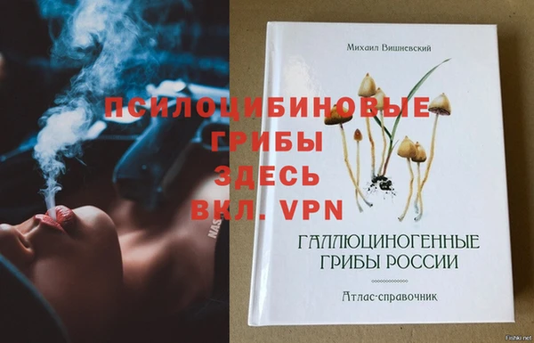 дживик Бородино