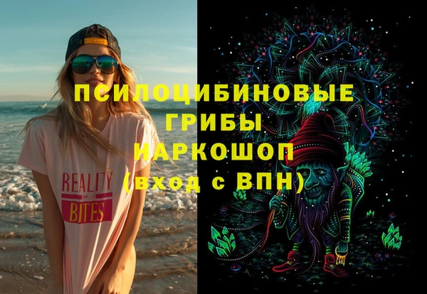 дживик Бородино