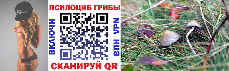 Псилоцибиновые грибы мицелий  наркота  Дальнегорск 