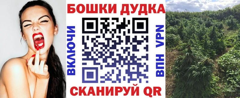 купить   Дальнегорск  Шишки марихуана сатива 